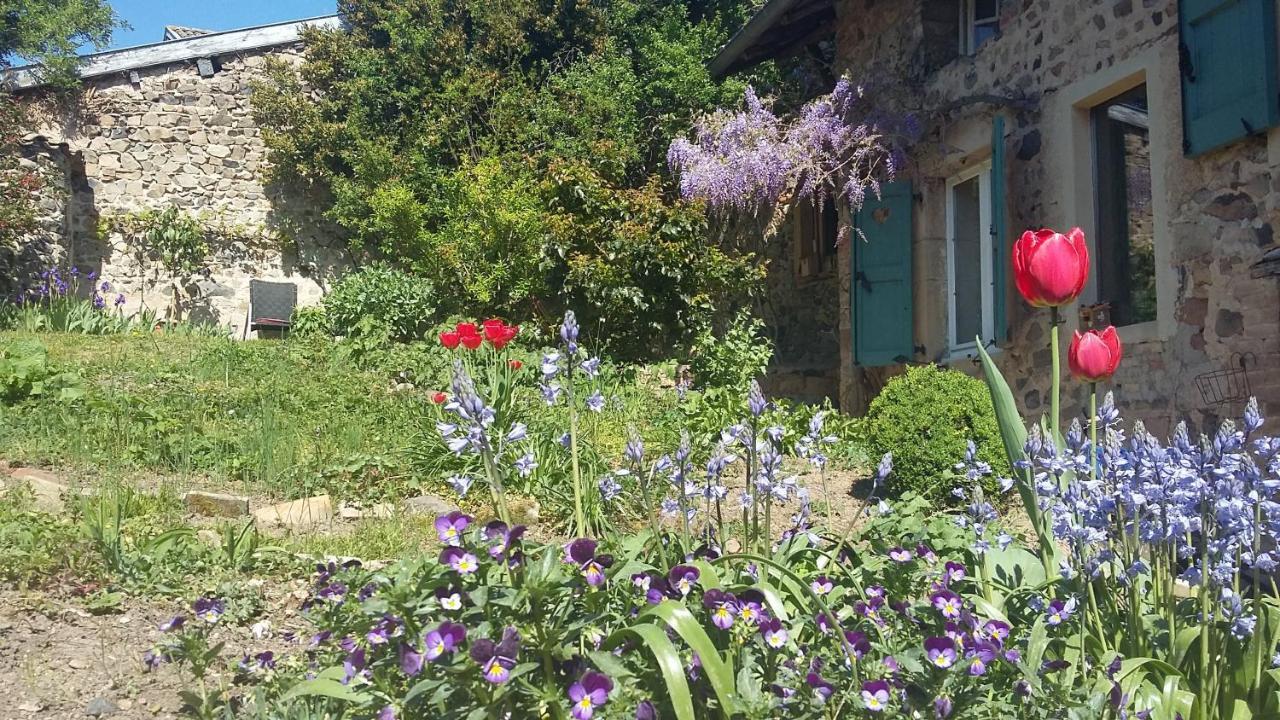 Domaine De La Fee-Licite Hotel Jullié Eksteriør billede
